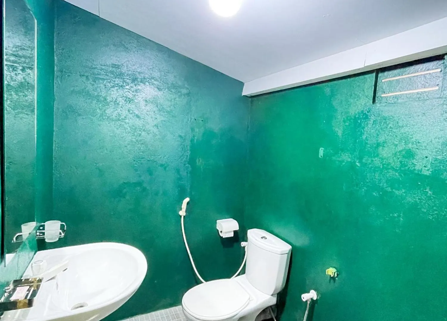 Dew Ceylon Villa Negombo Bed & Breakfast
